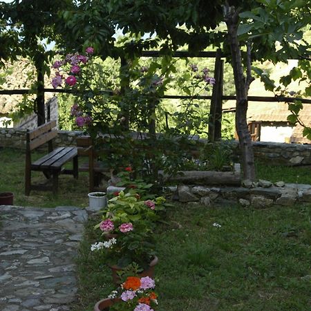 Guesthouse Klearchos Palaios Panteleimonas Extérieur photo